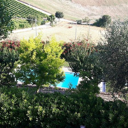 La Casa In Campagna Bed and Breakfast Cossignano Exterior foto